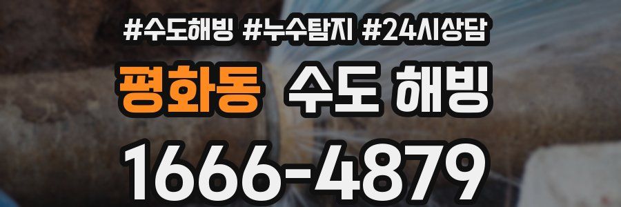 평화동 수도 해빙