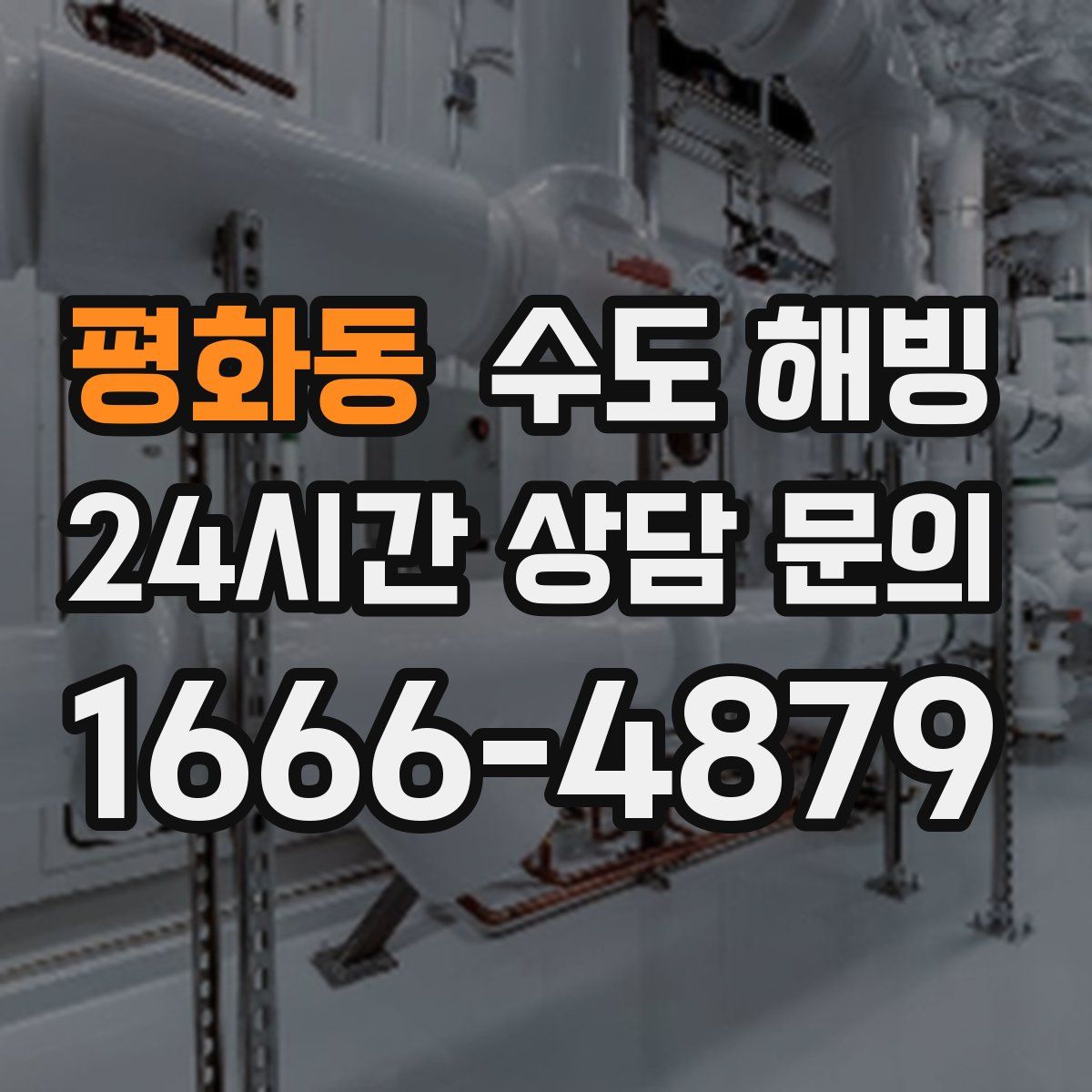 평화동 수도 해빙