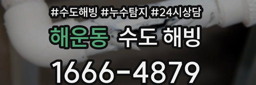 해운동 수도 해빙