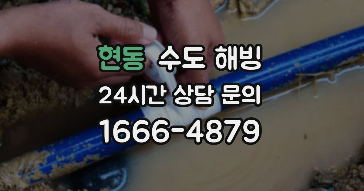 현동 수도 해빙