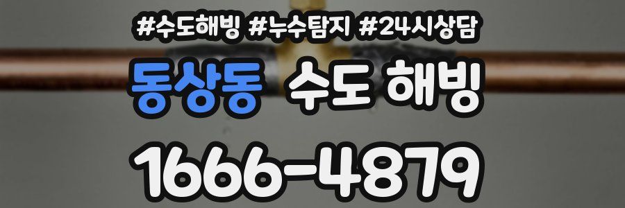 동상동 수도 해빙