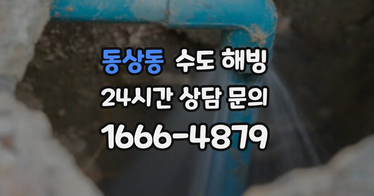 동상동 수도 해빙