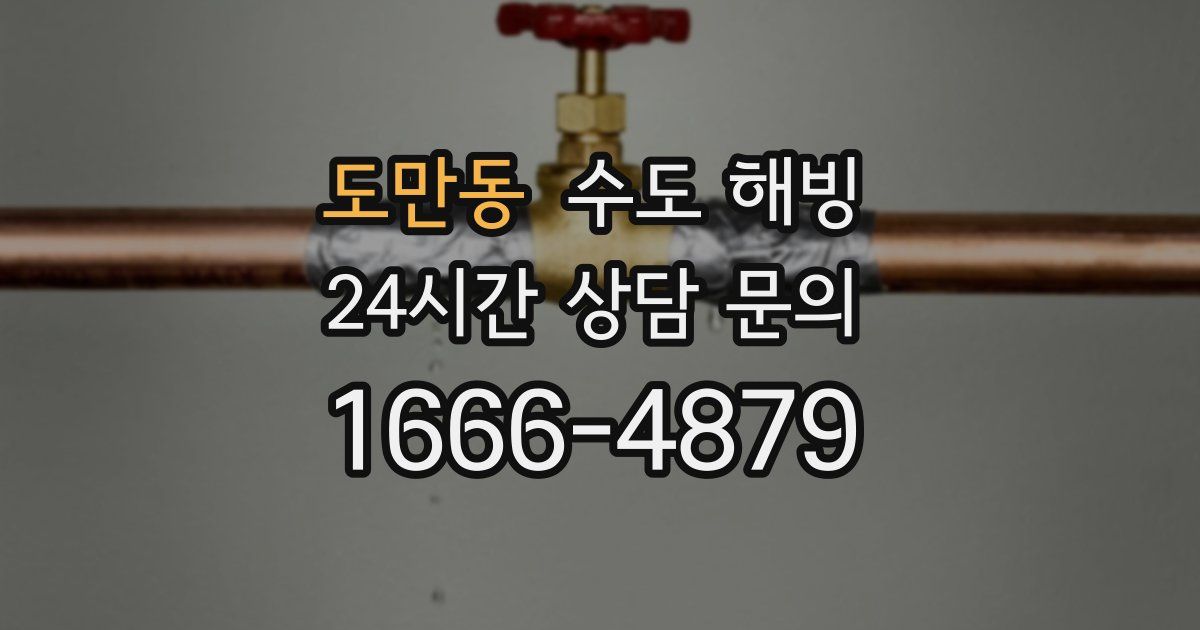 도만동 수도 해빙