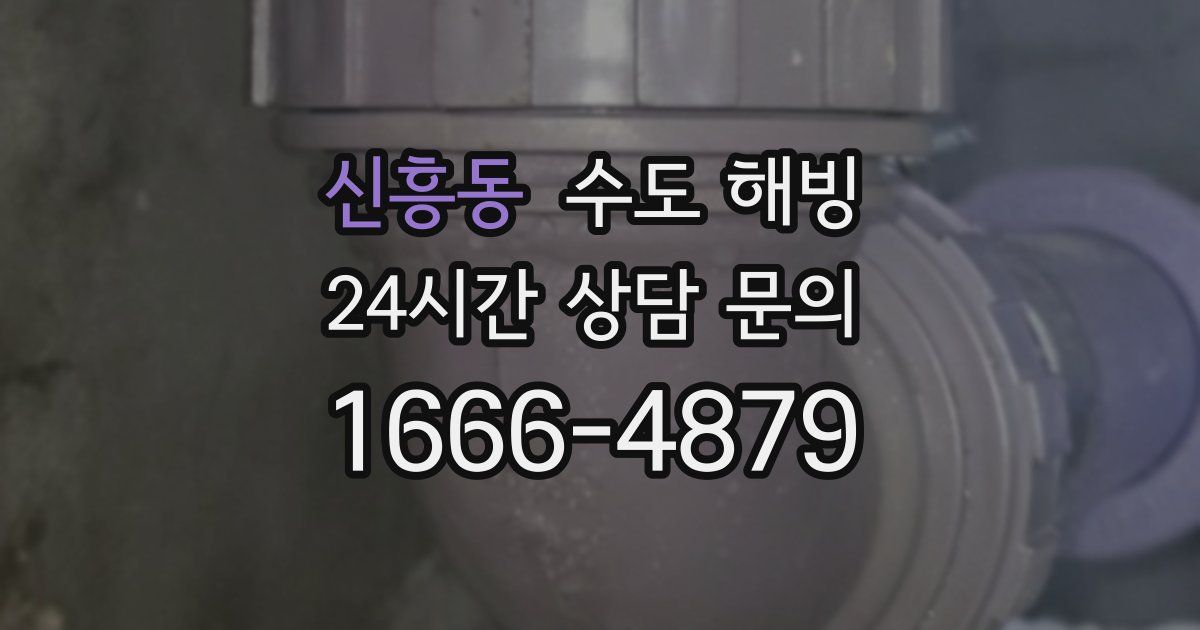 신흥동 수도 해빙