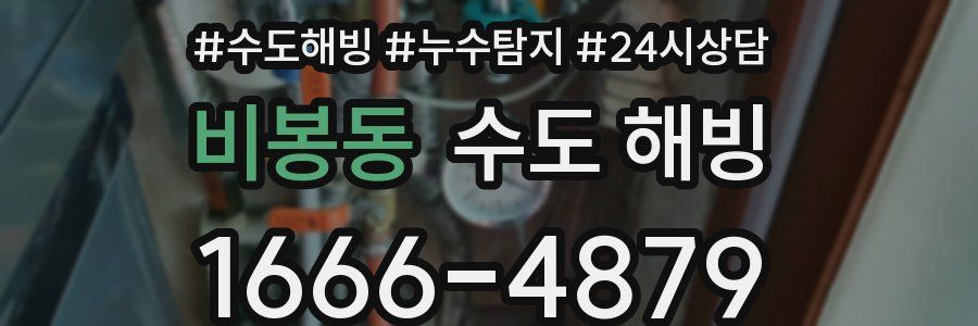 비봉동 수도 해빙