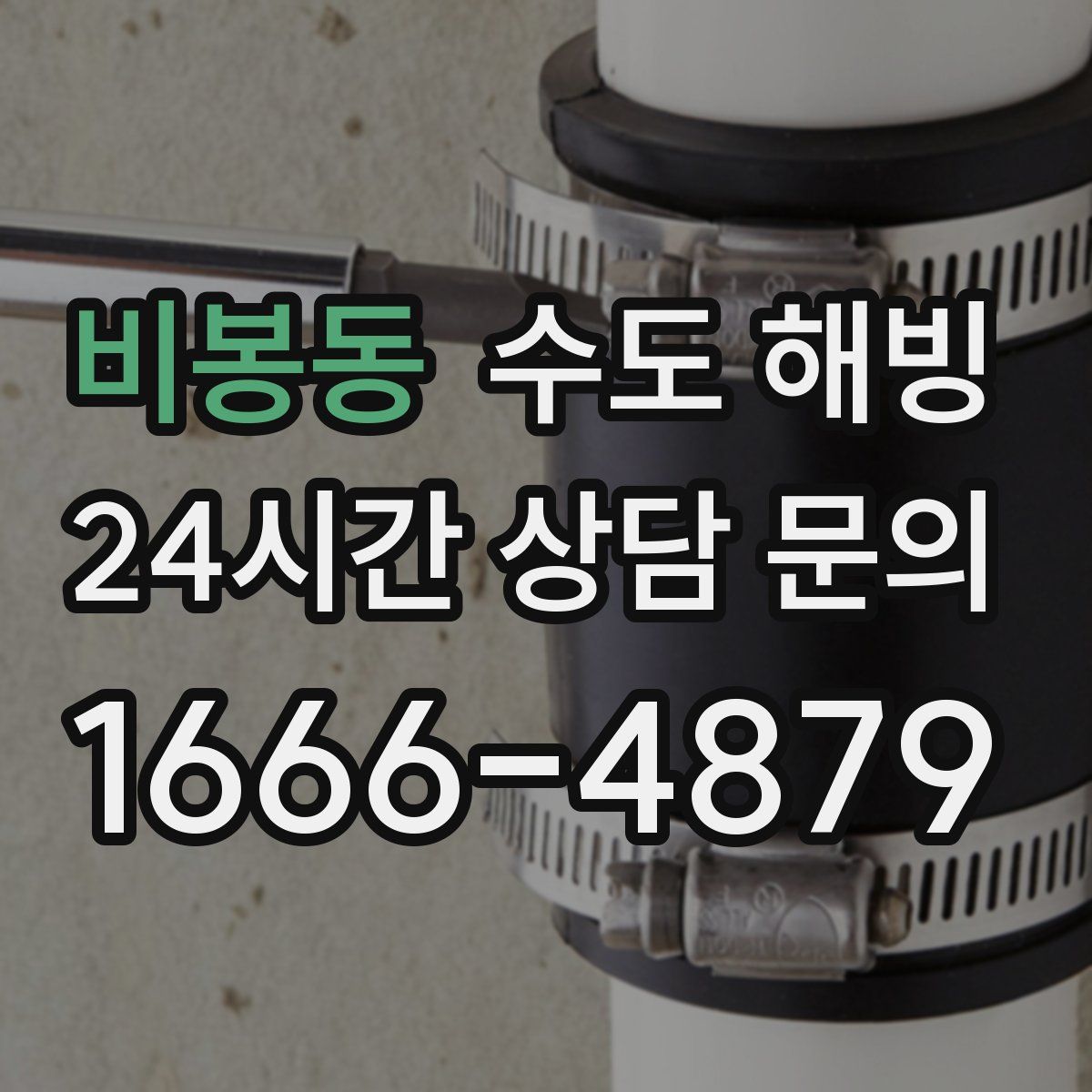 비봉동 수도 해빙