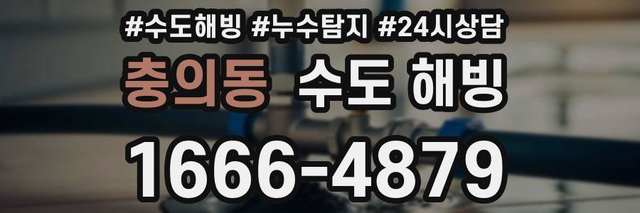 충의동 수도 해빙