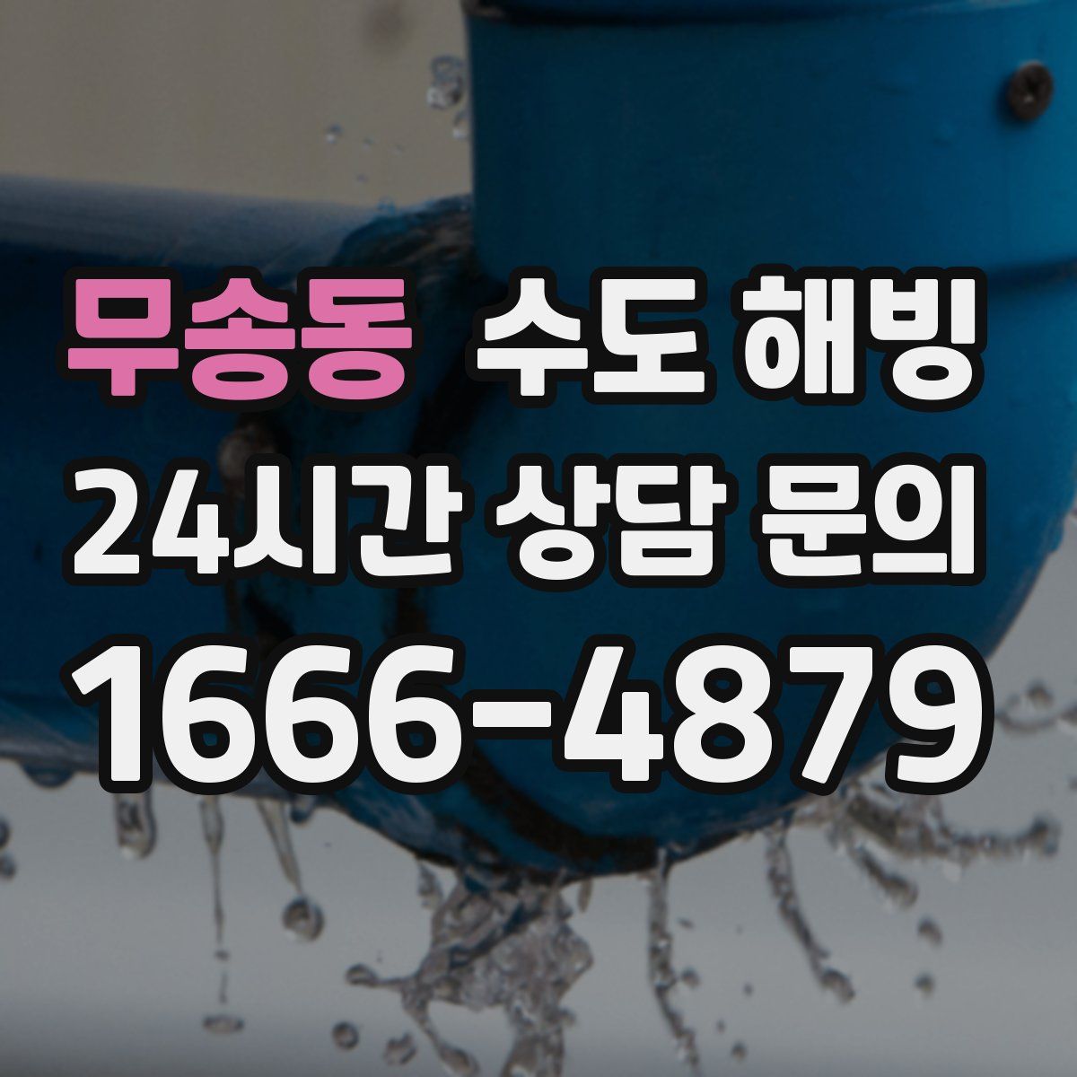 무송동 수도 해빙