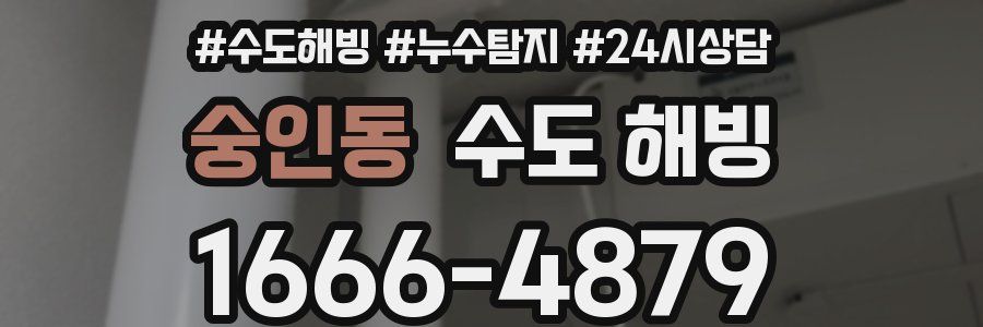 숭인동 수도 해빙