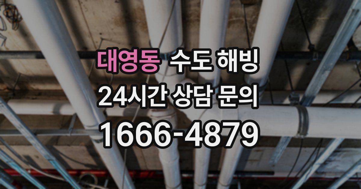 대영동 수도 해빙