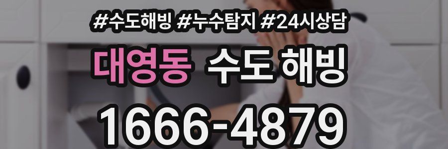 대영동 수도 해빙