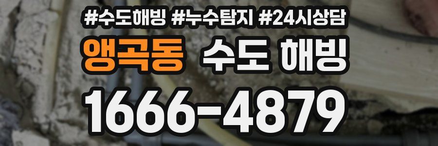 앵곡동 수도 해빙