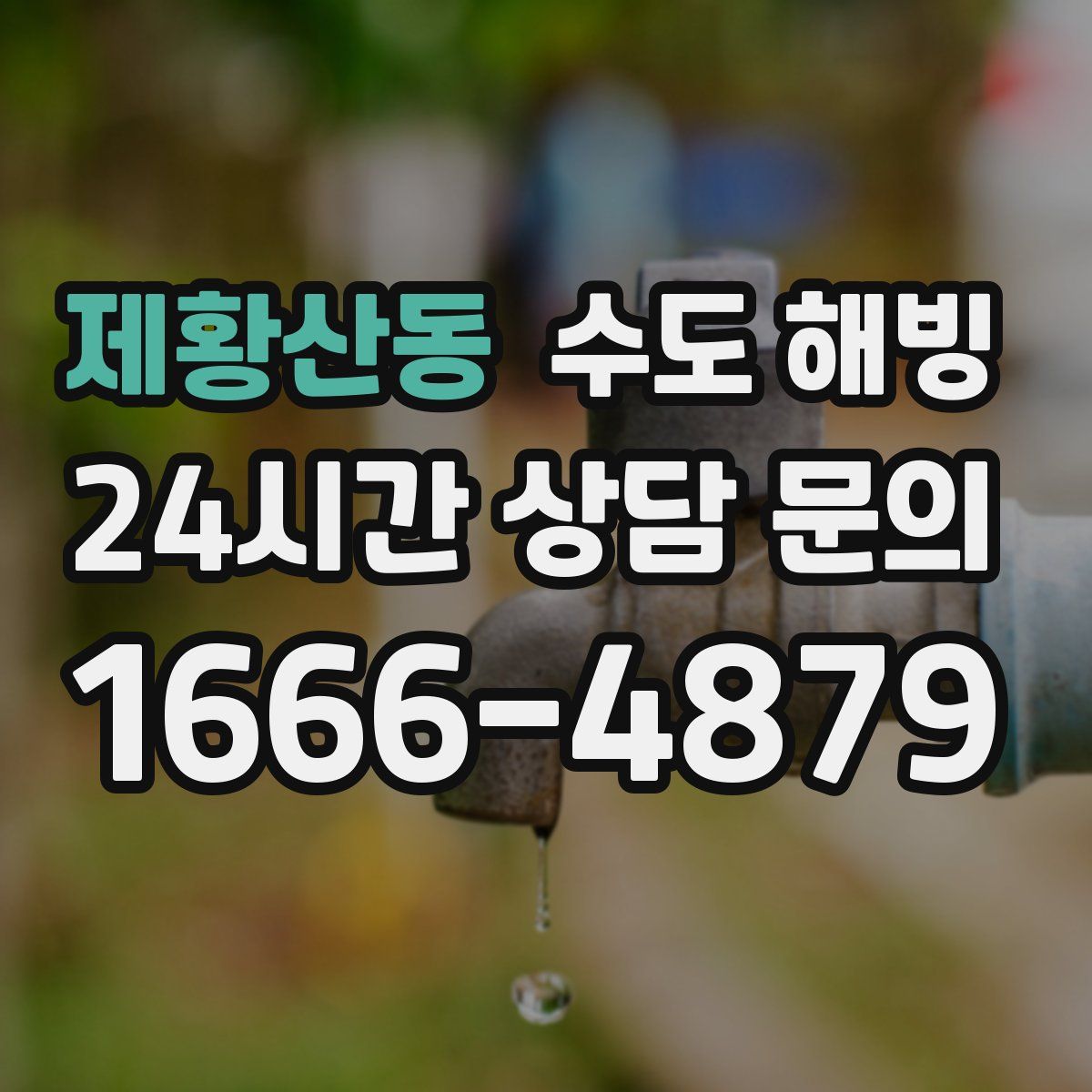 제황산동 수도 해빙