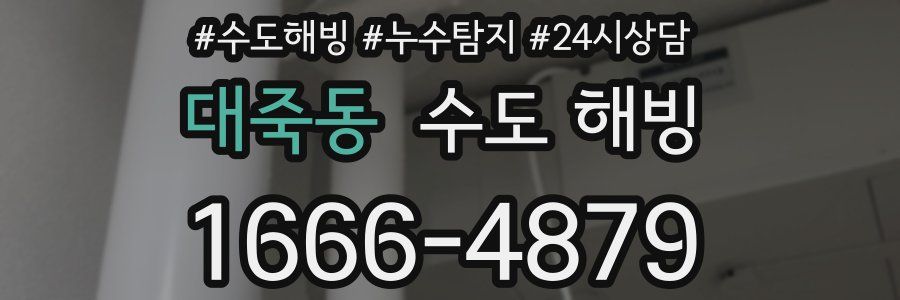 대죽동 수도 해빙