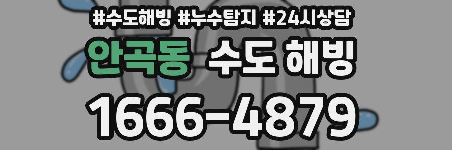 안곡동 수도 해빙