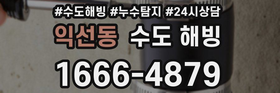 익선동 수도 해빙