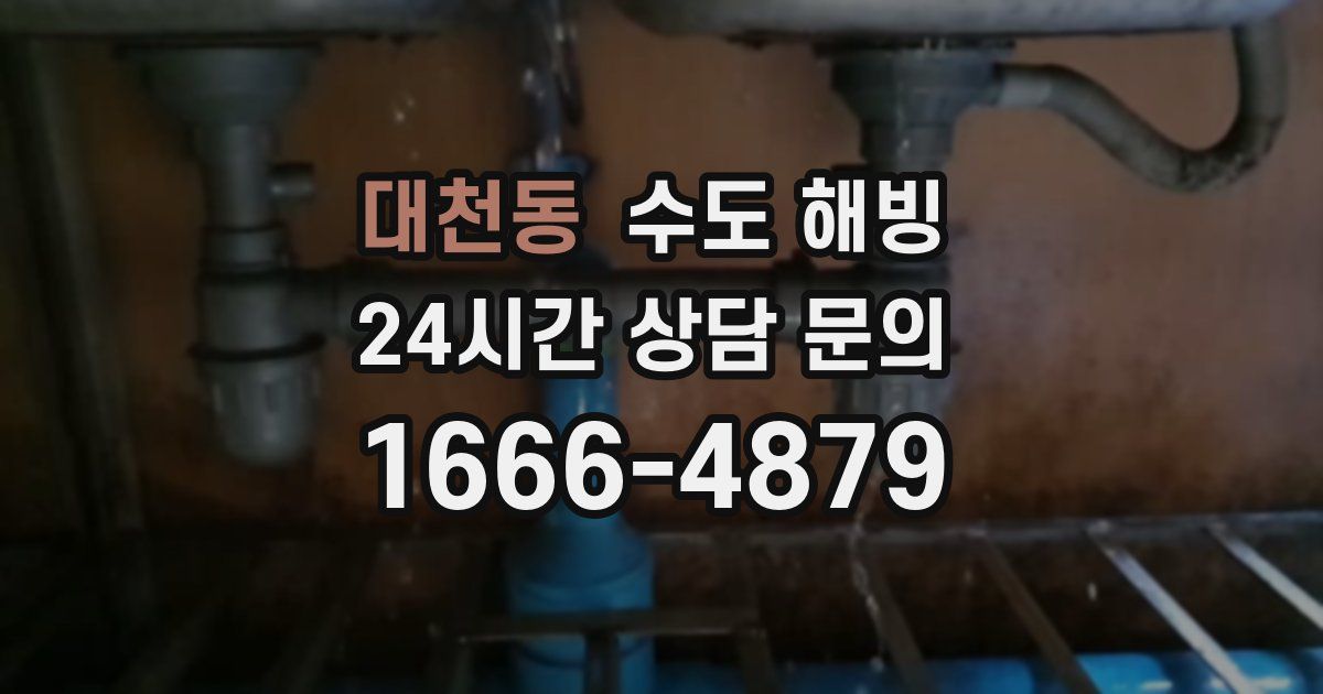 대천동 수도 해빙