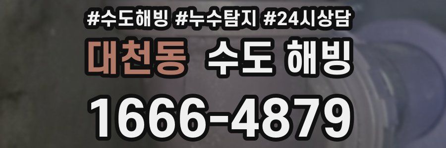 대천동 수도 해빙