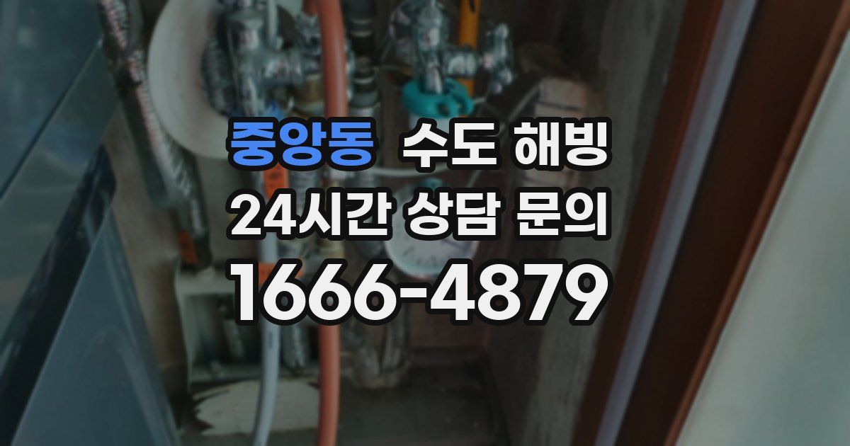 중앙동 수도 해빙