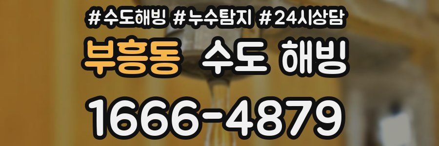 부흥동 수도 해빙
