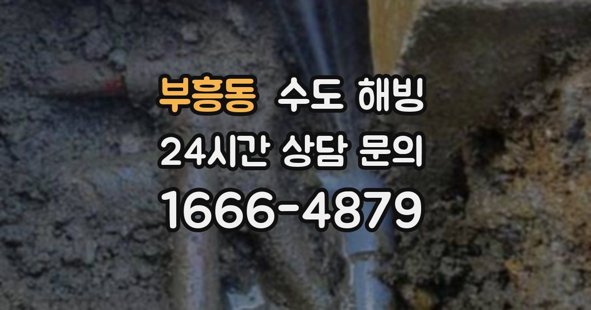 부흥동 수도 해빙