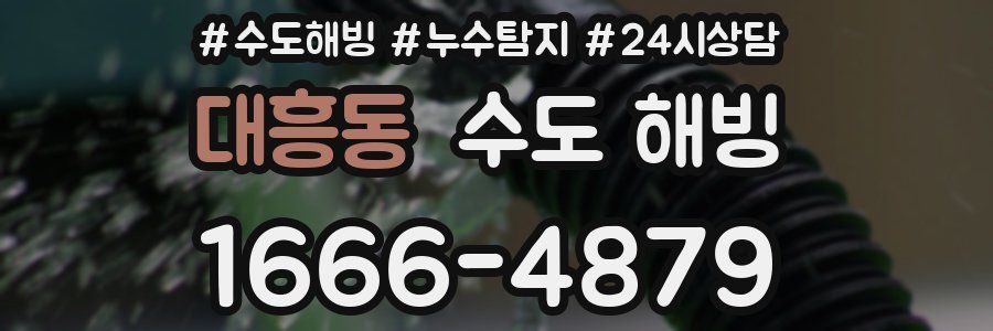 대흥동 수도 해빙