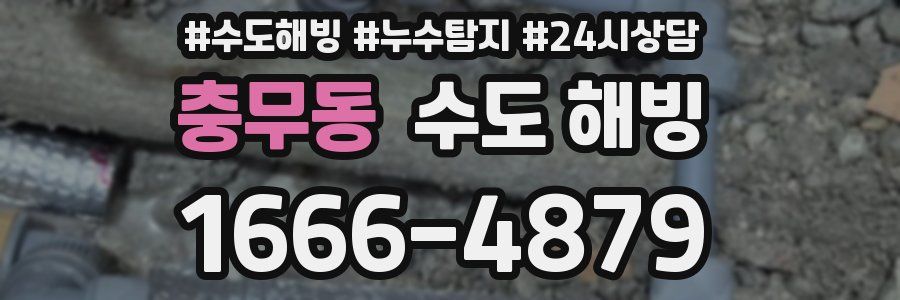 충무동 수도 해빙