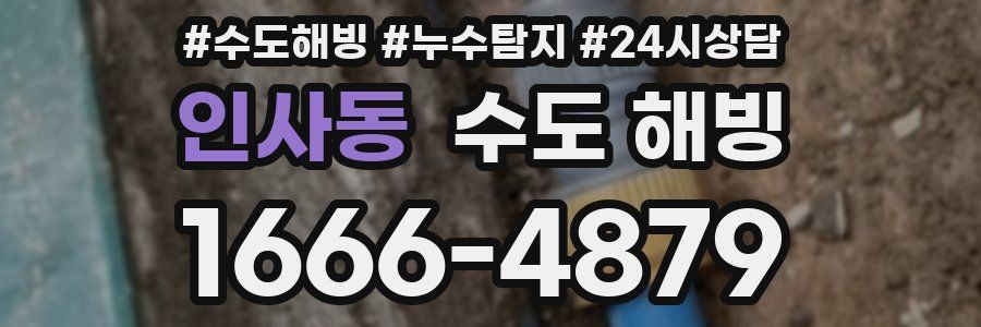 인사동 수도 해빙