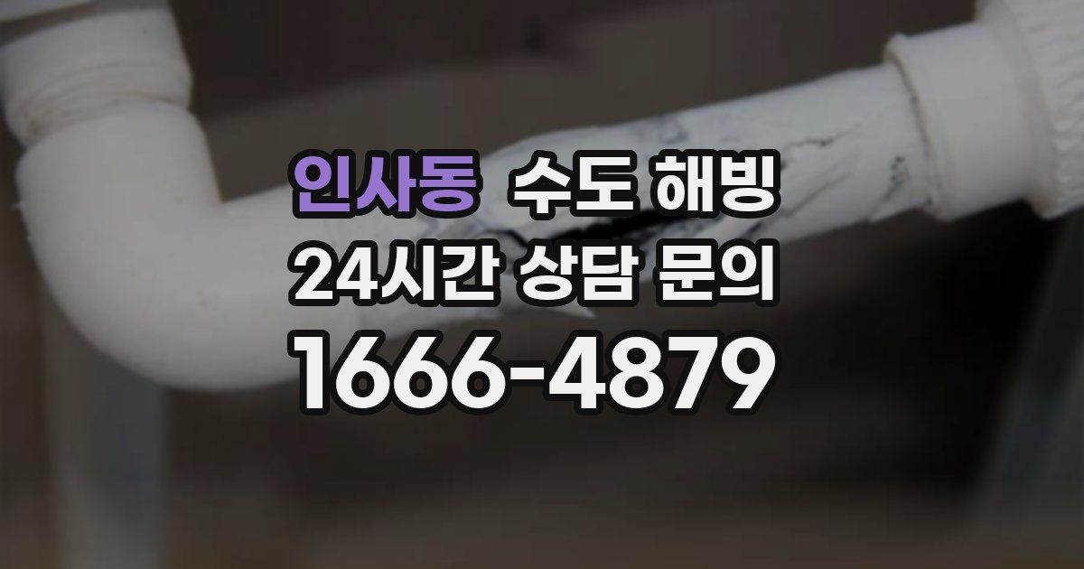 인사동 수도 해빙