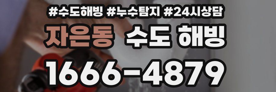 자은동 수도 해빙