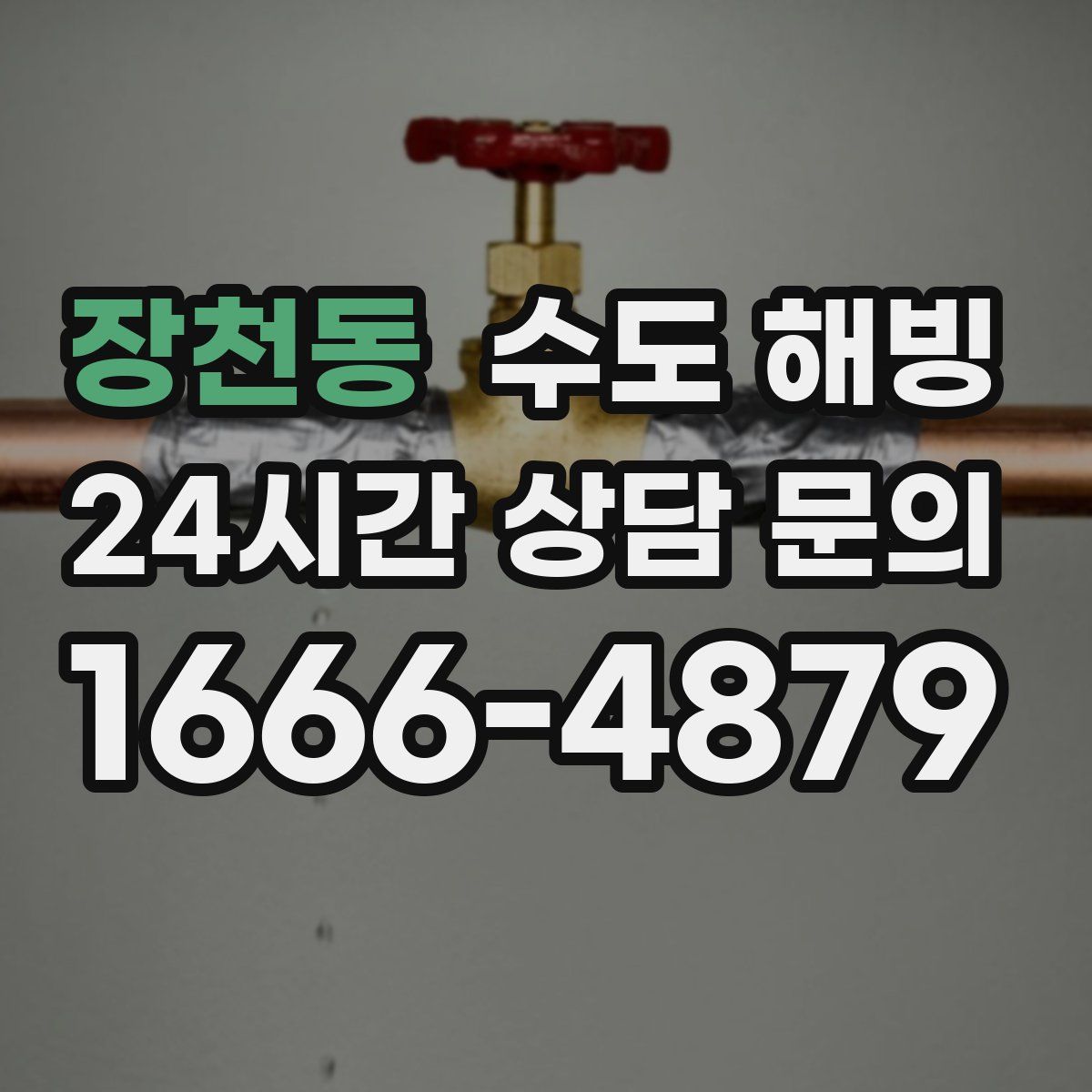 장천동 수도 해빙