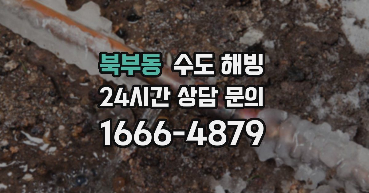 북부동 수도 해빙