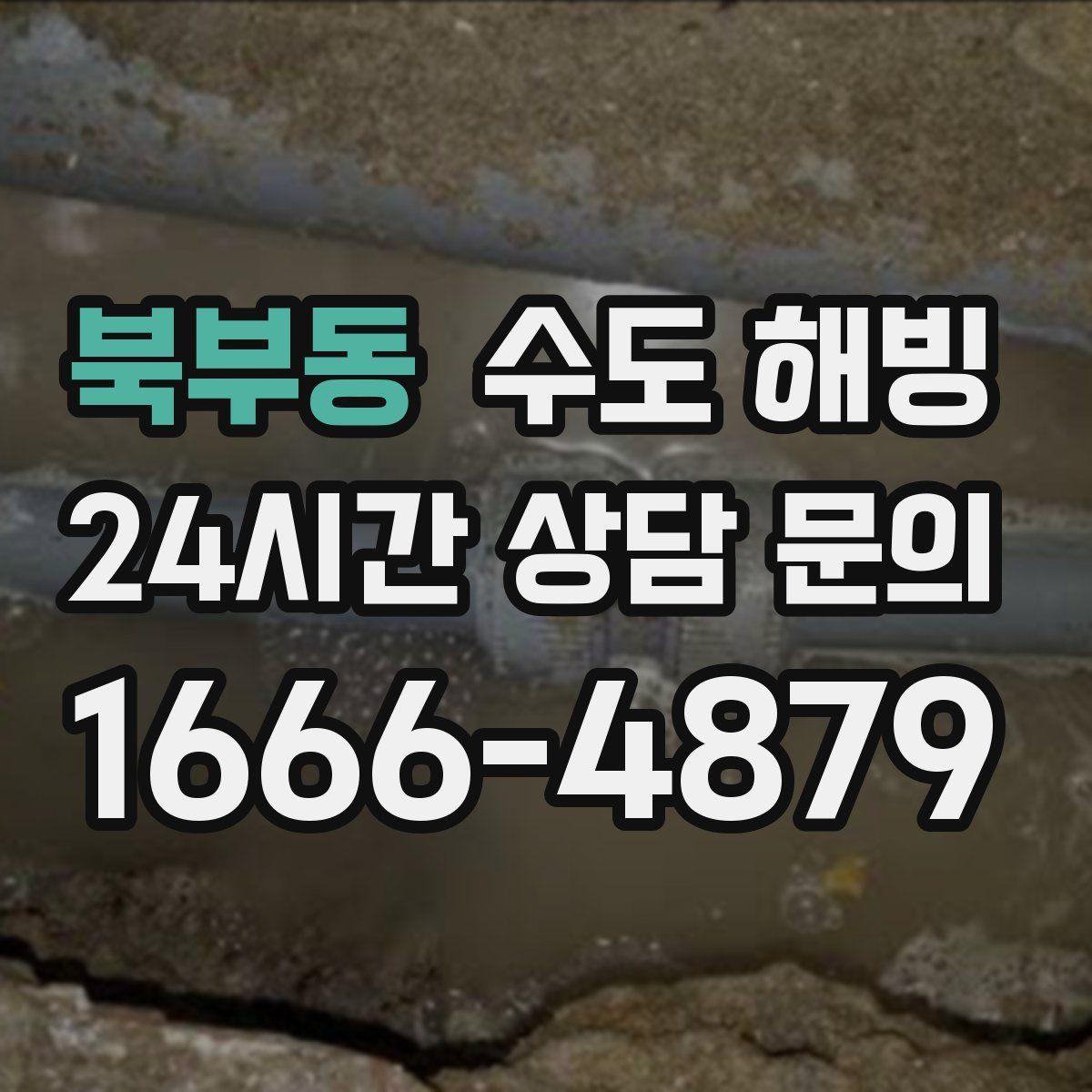 북부동 수도 해빙