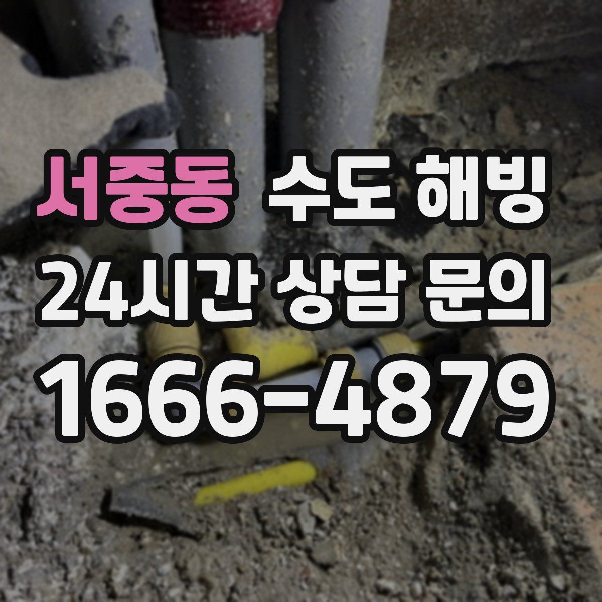 서중동 수도 해빙