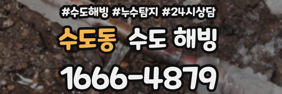 수도동 수도 해빙