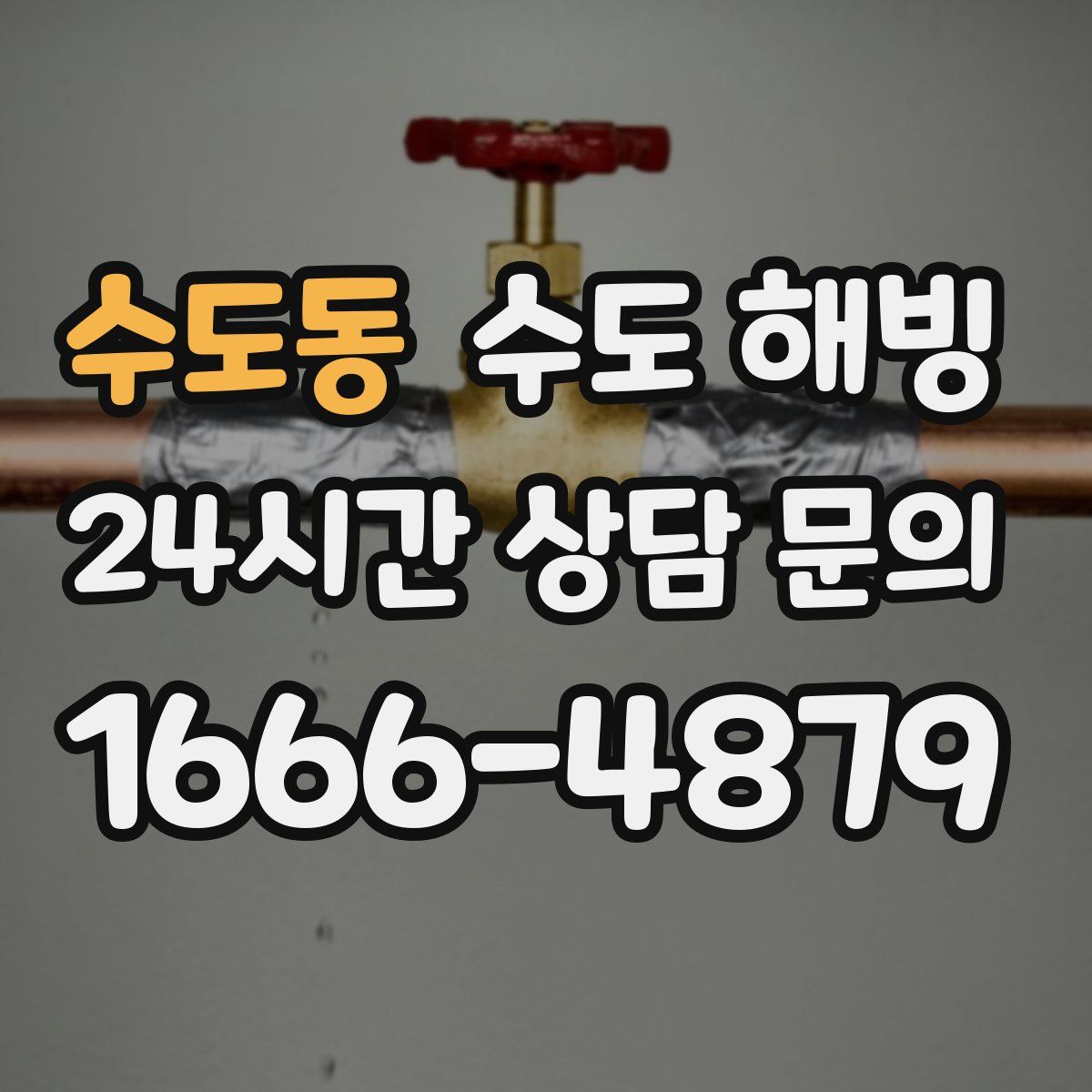 수도동 수도 해빙