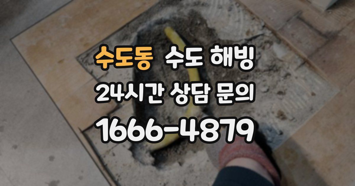 수도동 수도 해빙