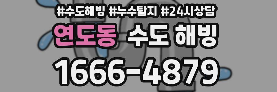 연도동 수도 해빙