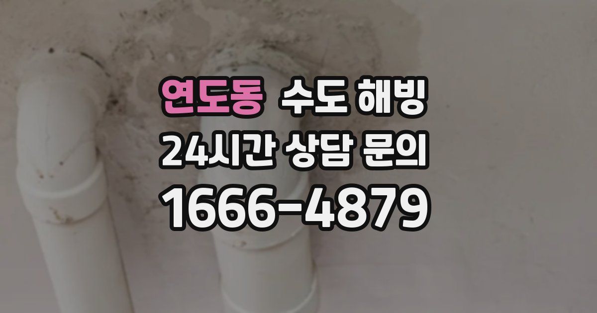 연도동 수도 해빙