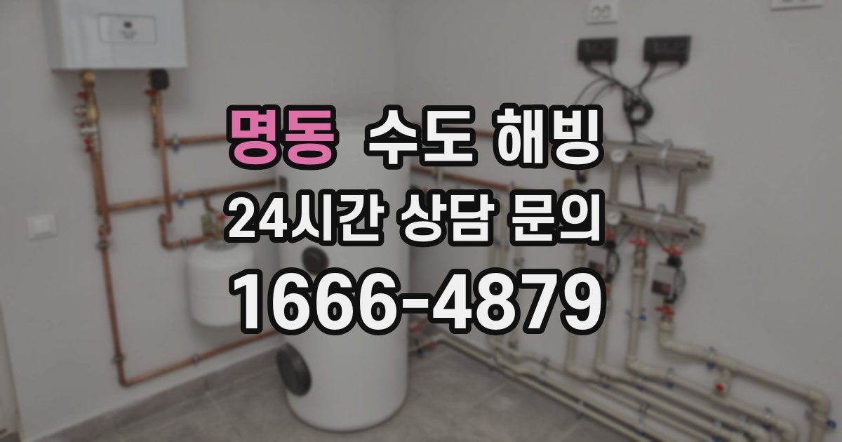 명동 수도 해빙