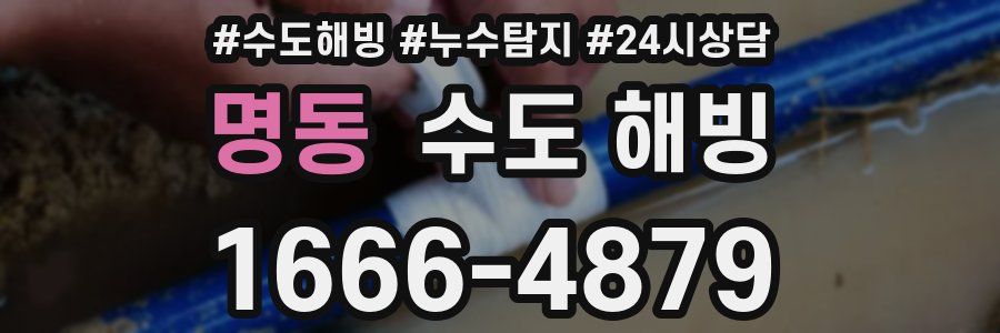 명동 수도 해빙