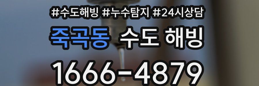 죽곡동 수도 해빙