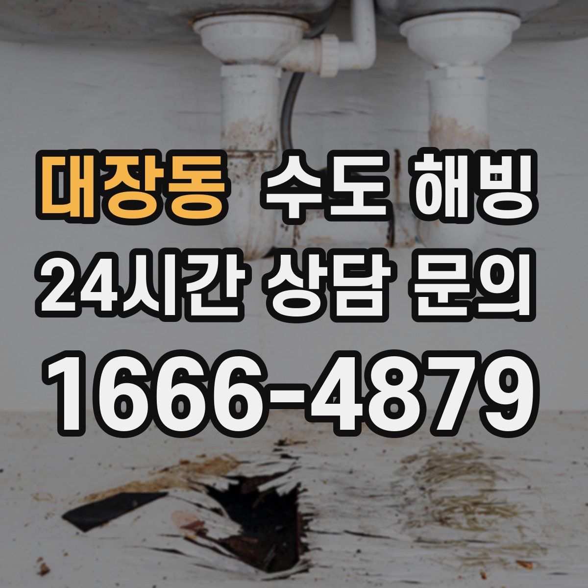 대장동 수도 해빙