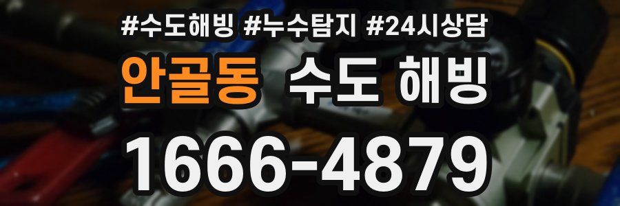 안골동 수도 해빙