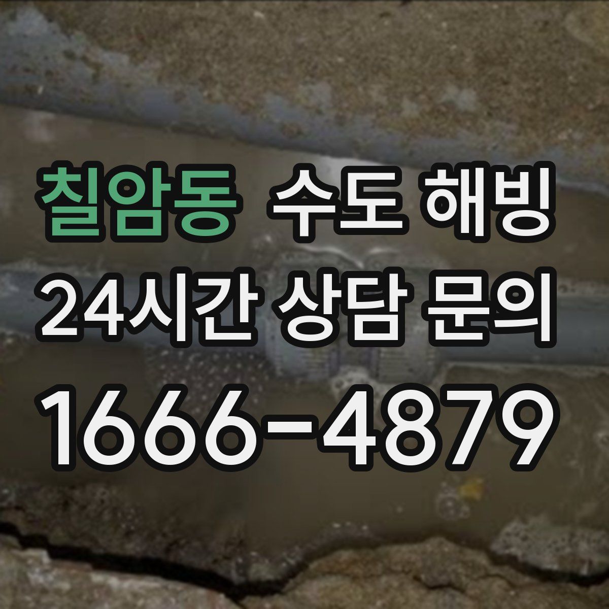 칠암동 수도 해빙