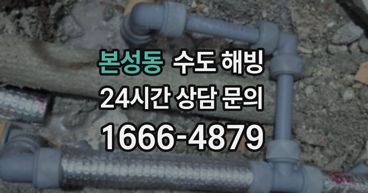 본성동 수도 해빙