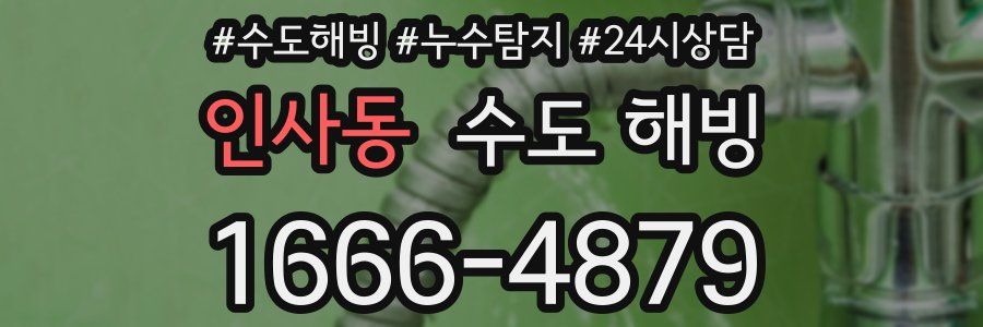 인사동 수도 해빙