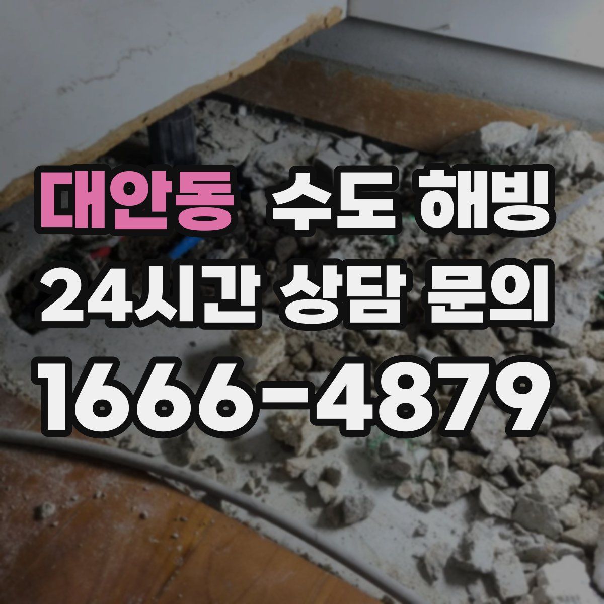 대안동 수도 해빙