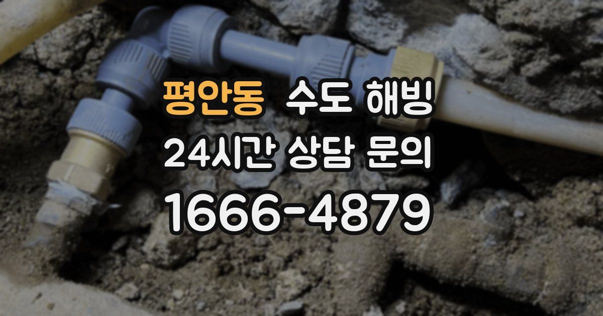 평안동 수도 해빙