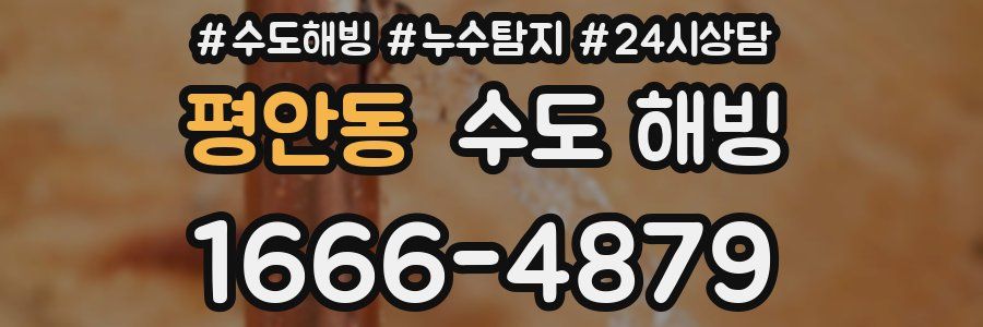 평안동 수도 해빙